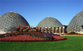 DOMES